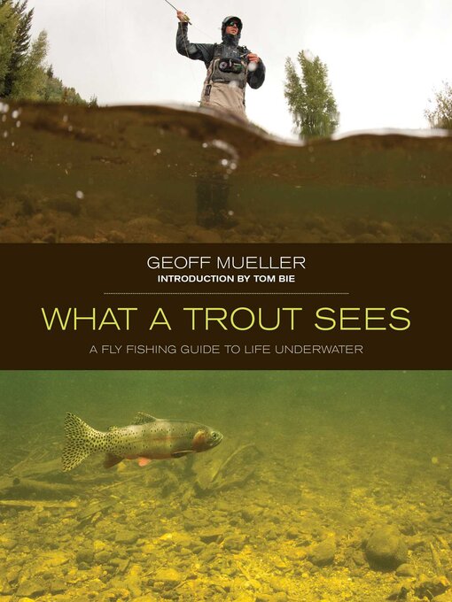 Cover image for What a Trout Sees